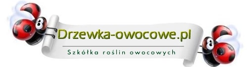 Drzewka Owocowe